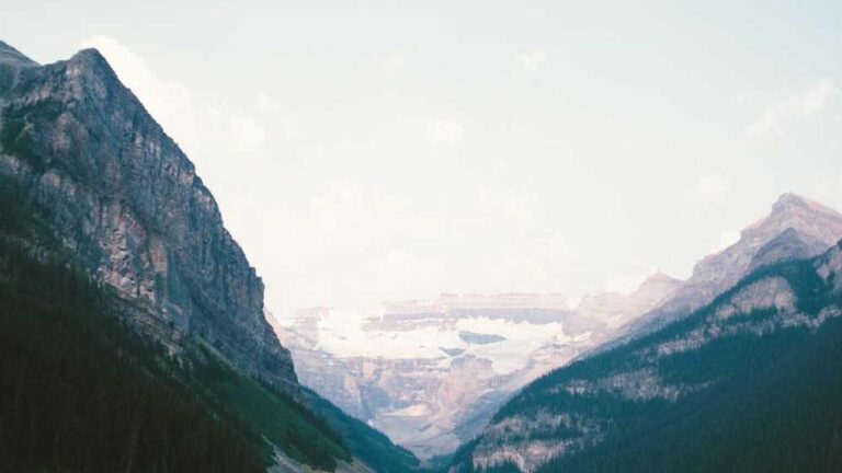 How Can Users Confirm They?Re Visiting The Genuine 11Xplay Pro Com?