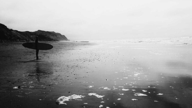 What Is The Official Cricbet99 Phone Number?